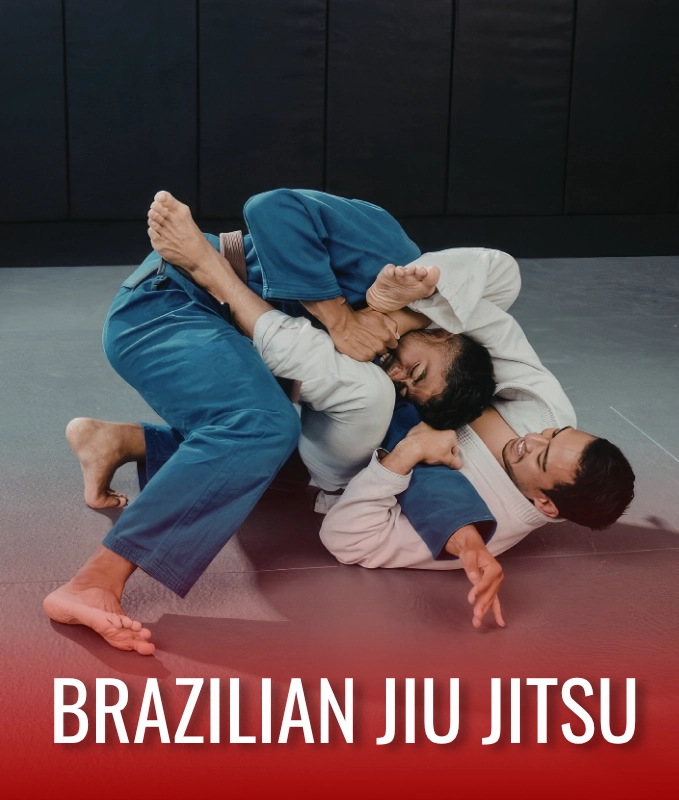 Brazilian Jiu Jitsu